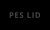 PES LID